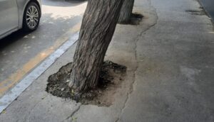 Foto ETSN-in rəsmi saytı
