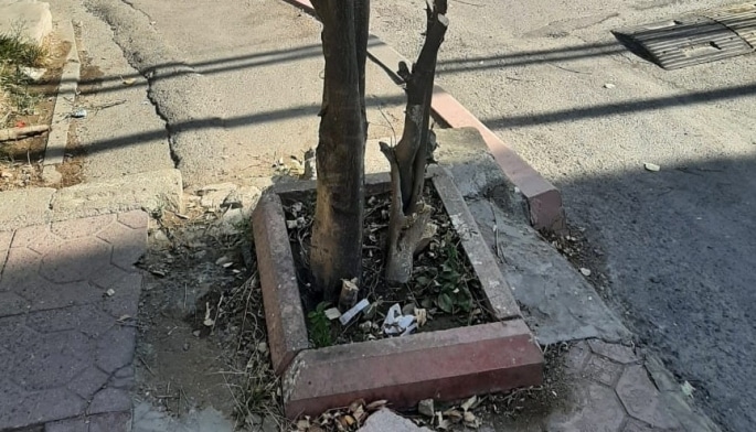 Foto ETSN-in rəsmi saytı