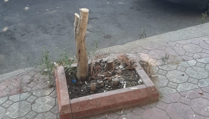 Foto ETSN-in rəsmi saytı
