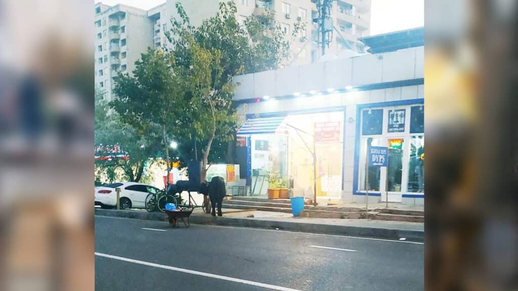 Foto Azərbaycan Qida Təhlükəsizliyi Agentliyinin rəsmi saytı