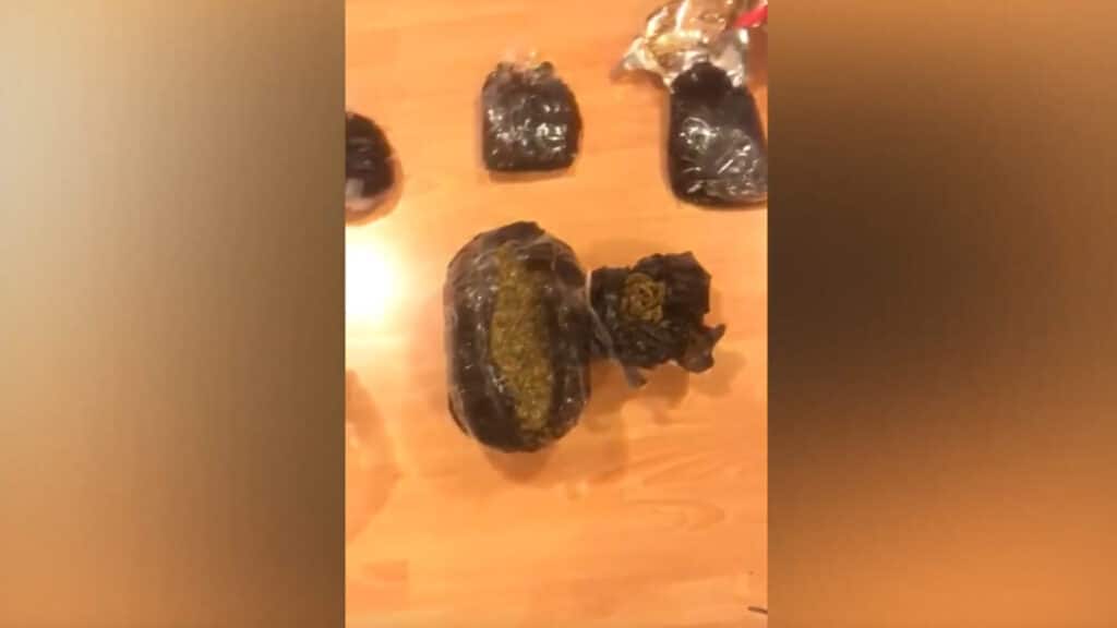 Foto Daxili İşlər Nazirliyinin rəsmi Youtube səhifəsi