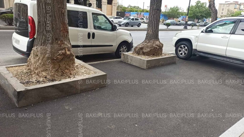 Foto Bakuplus.az