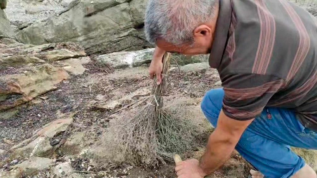 Foto Bakı Gündəliyinin Facebook səhifəsi