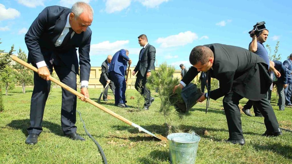 Ağacəkmə aksiyası keçirilib