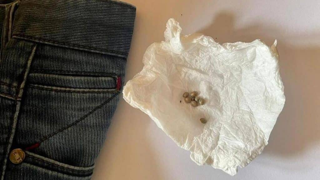 Bakıda qadınlar həyat yoldaşlarına olan sevgilərini qeyri-adi üsulla göstəriblər