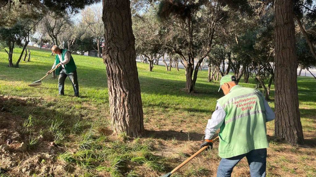 Bakı şəhər Yaşıllaşdırma Təsərrüfatı Birliyi