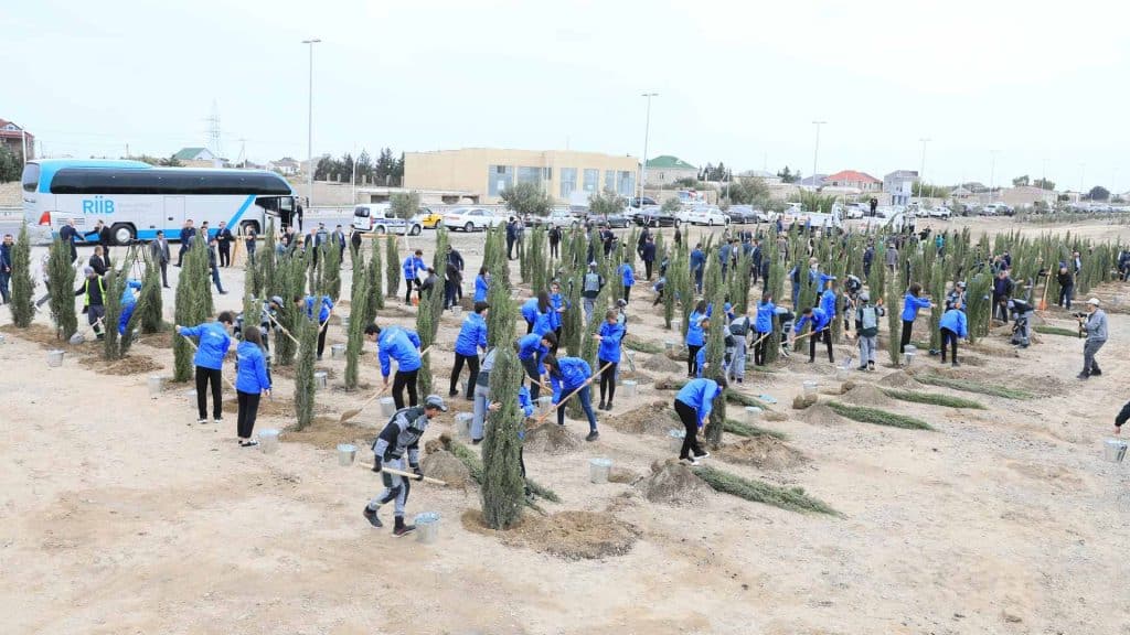 Xəzər rayonunda ağacəkmə aksiyası keçirilib
