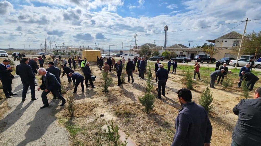 Zığ qəsəbəsində yeni ağaclar əkilib