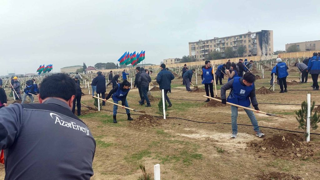 Müşfiqabadda ağaclar əkilib