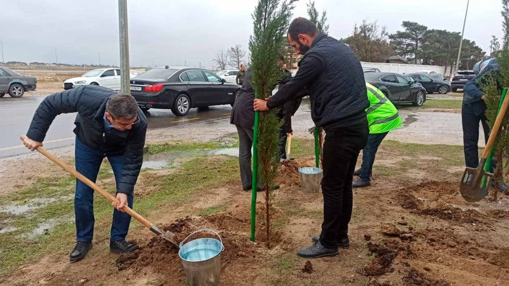 Qala qəsəbəsində ağacəkmə aksiyası keçirilib