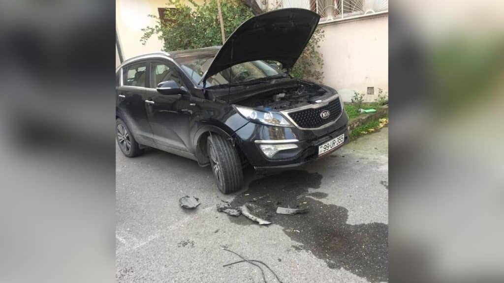 Bakıda hüquq müdafiəçisinin avtomobilinə itlər ziyan vurub
