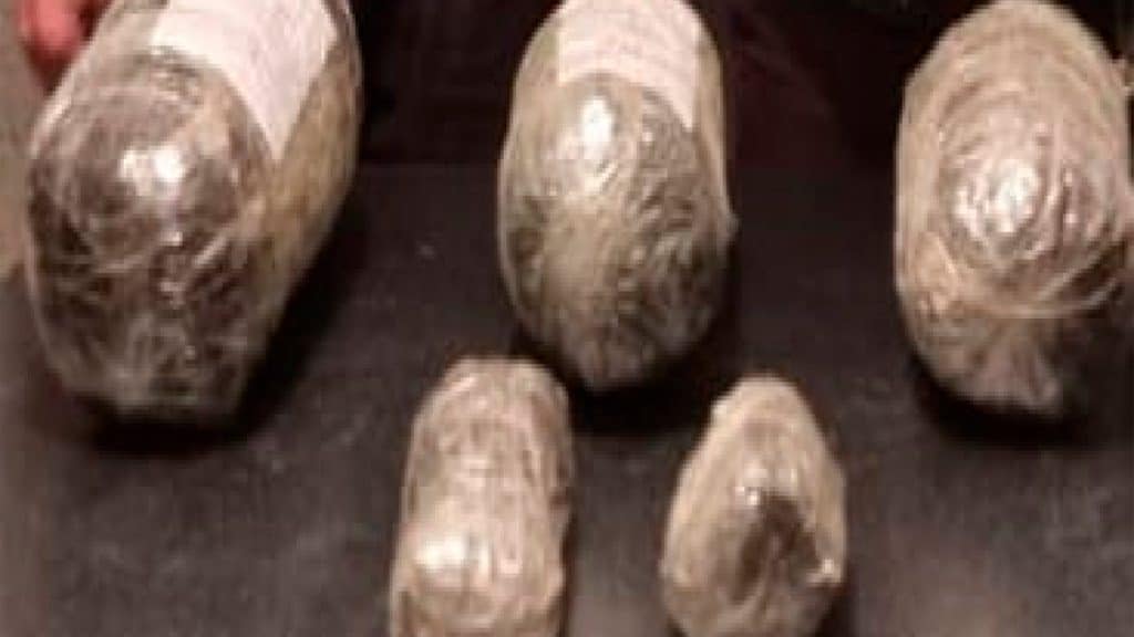 2 nəfər Bakı sakinindən 3 kiloqramdan artıq narkotik götürülüb