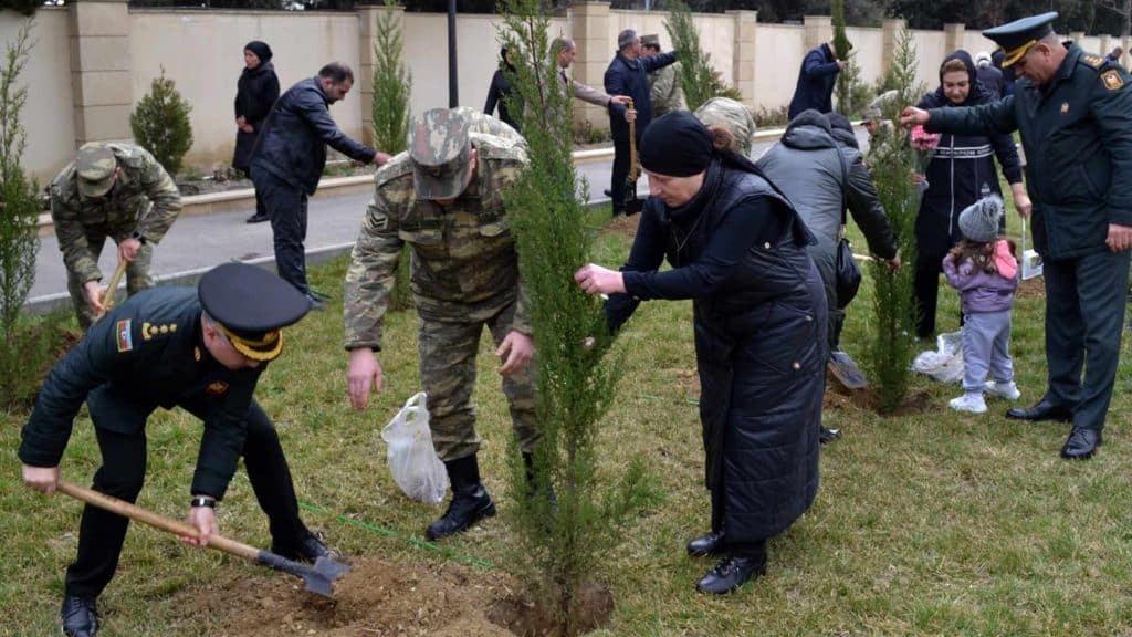 Şəhidlər xiyabanında yeni ağaclar əkilib