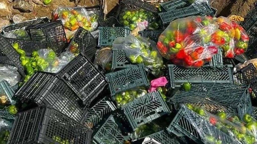 İrandan Azərbaycana gətirilən məhsullarda virus tapılıb