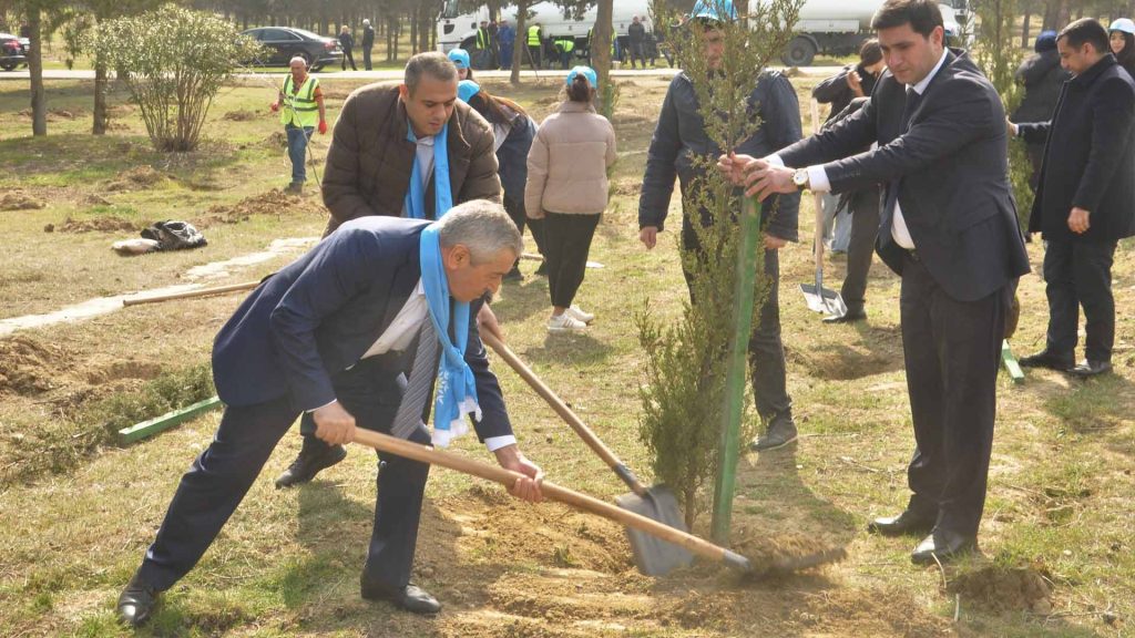 Bakıxanov qəsəbəsində 100 ədəd ağac əkilib