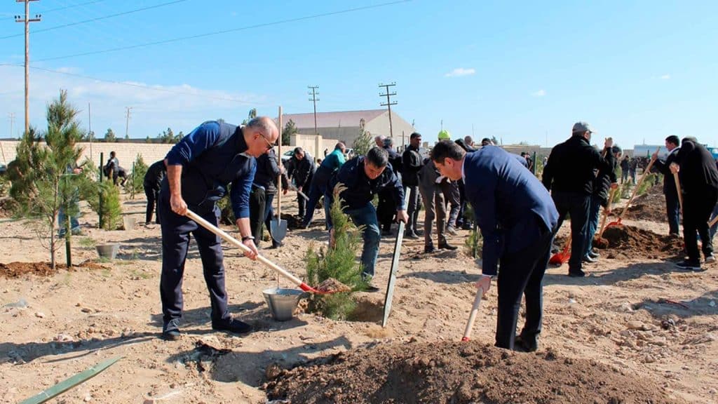 Bakıda növbəti ağacəkmə aksiyası keçirilib
