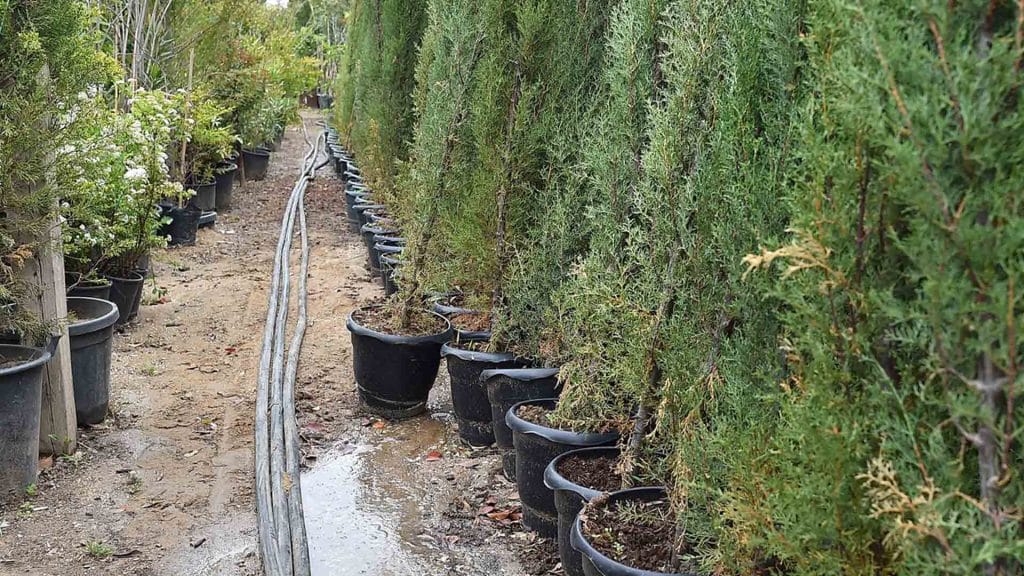 Xəzər rayonunda qanunsuz sudan istifadə edənlər məsuliyyətə cəlb olunublar