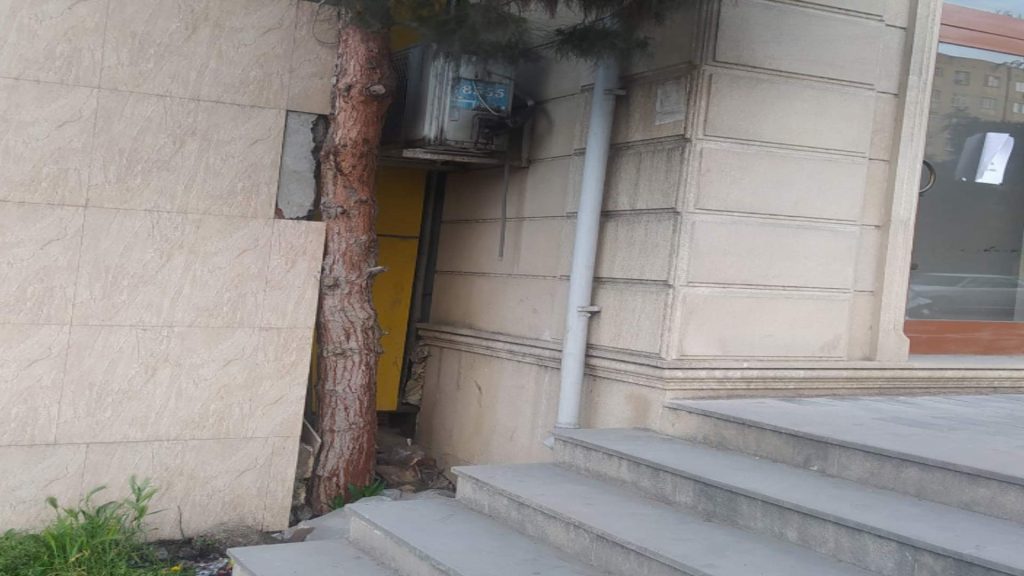 “Əhmədli” metrosunun yaxınlığında ağacları məhv edən şəxs cərimələnib