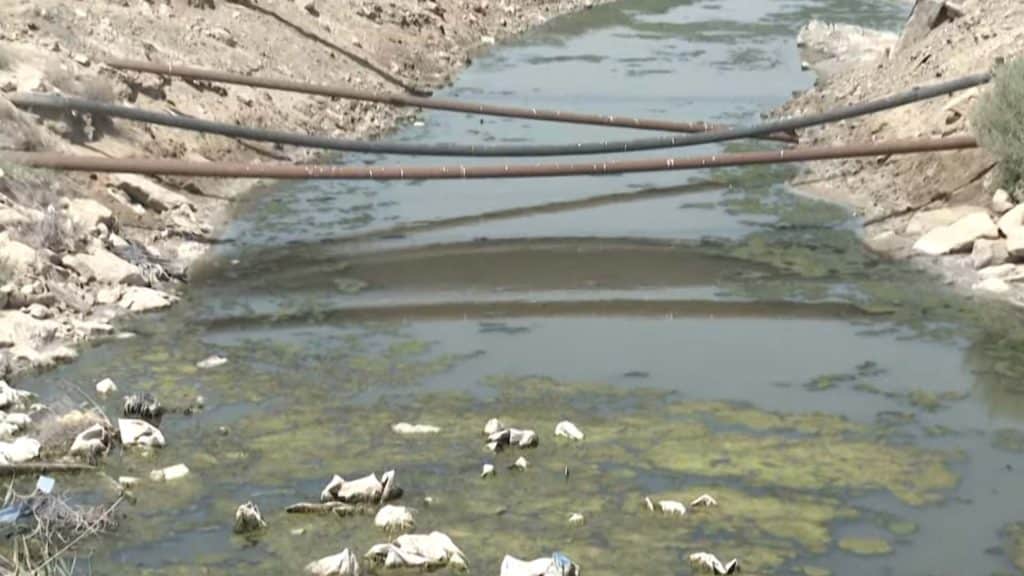 Zığ gölünün aqibəti necə olacaq?