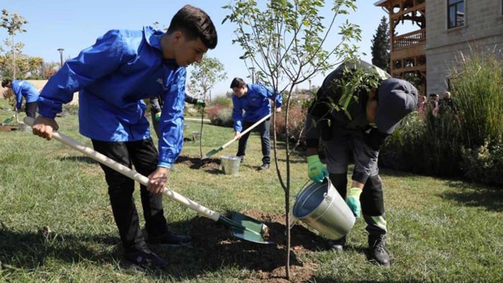 Bakıdakı parklarda ağacəkmə aksiyaları keçirilib