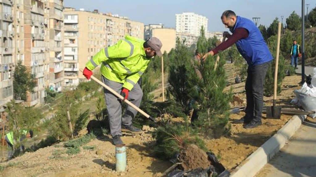 Xətai rayonunda Zəfər Gününə həsr olunmuş ağacəkmə aksiyası baş tutub