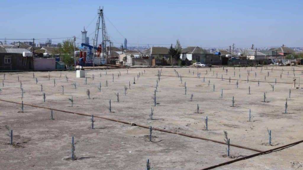 Balaxanıda “COP29” ilə əlaqədar yaşıllaşdırma işləri aparılır