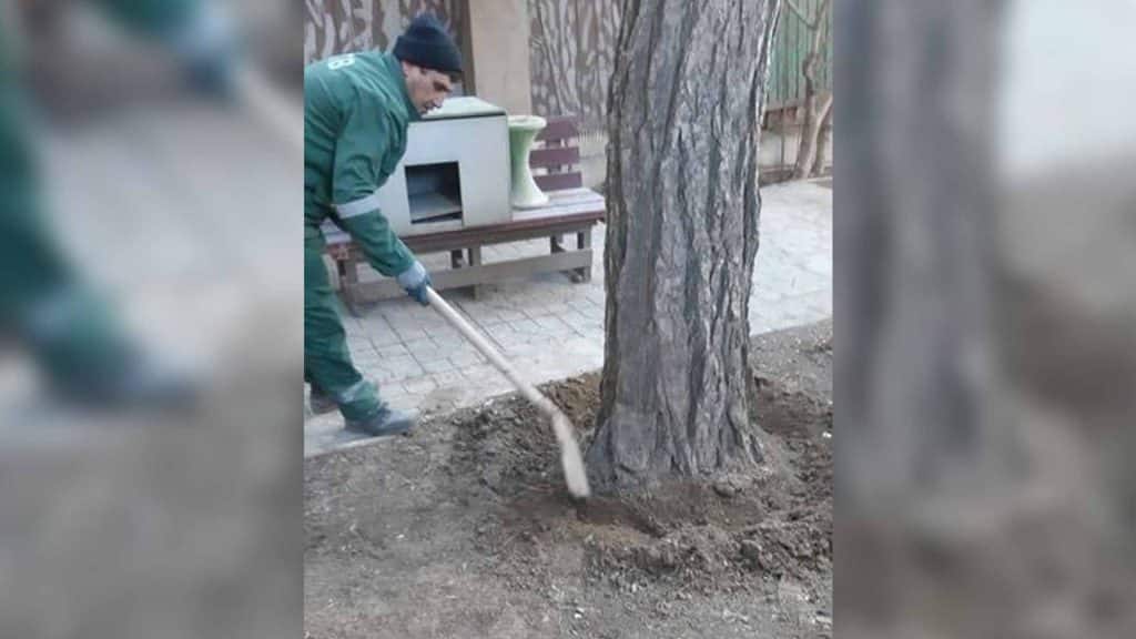 Səbail rayonunda həyətyanı sahə tullantılardan təmizlənib