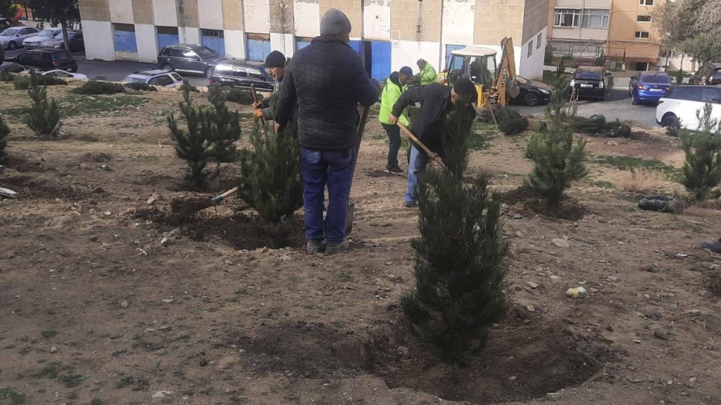 Xətai rayonunda növbəti ağacəkmə aksiyası keçirilib