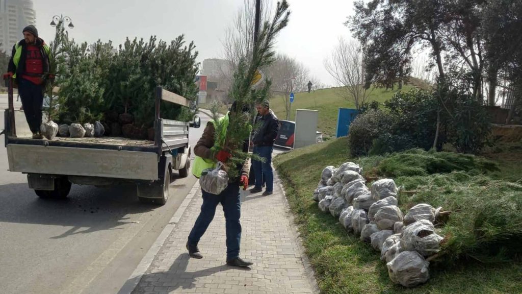 Xətai rayonunda daha 800 ağac əkilib