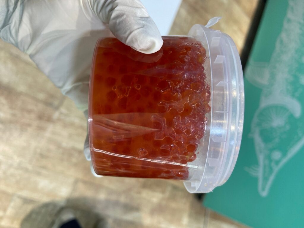 Bu rayonda mənşəyi məlum olmayan qida məhsulları aşkarlandı