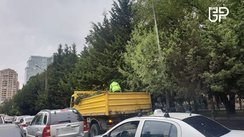 Nəsimi rayonunda abadlıq işləri aparılır