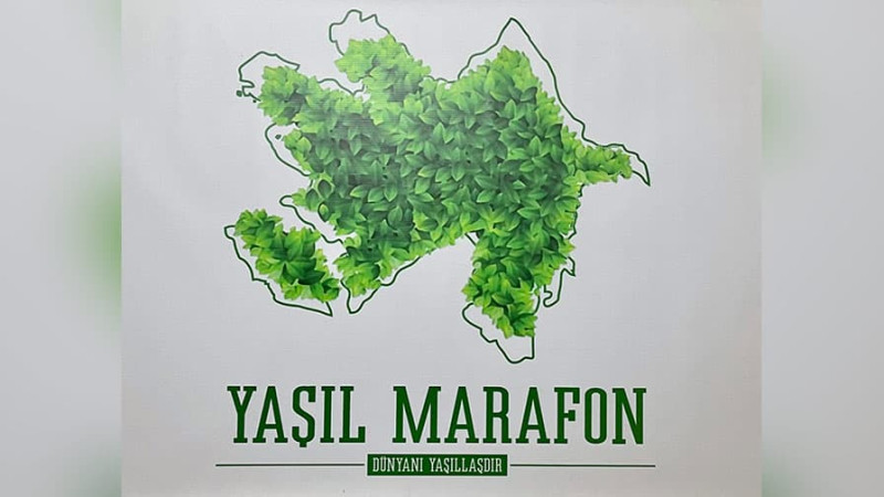Bakı və Abşeronda 800 minə yaxın ağac əkiləcək