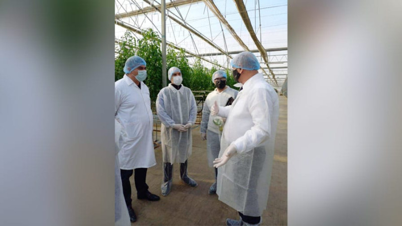 AQTA Xəzər rayonundakı istixanalarda monitorinqlər keçirib