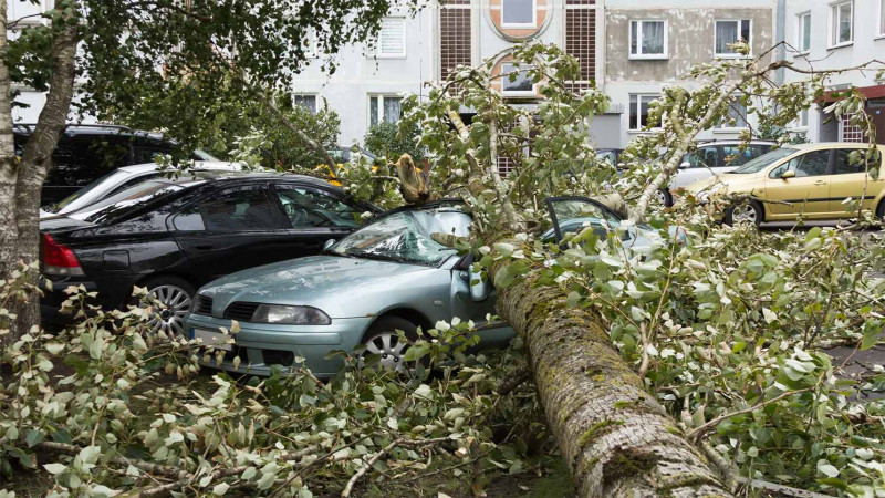Bakıda küləkli hava fəsadlar törədib