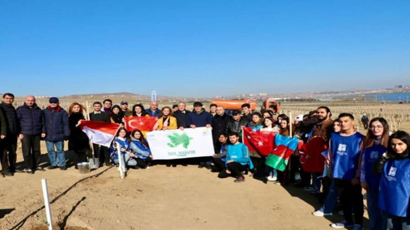 Bakıda 6 qurumun iştirakı ilə ağacəkmə aksiyası keçirilib