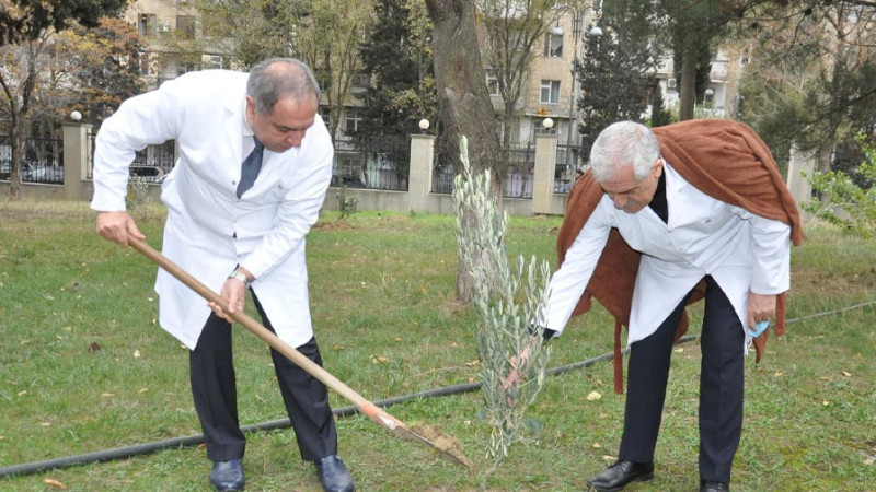 Bakıda Zəfər gününə həsr olunan yaşıllaşdırma aksiyası baş tutub