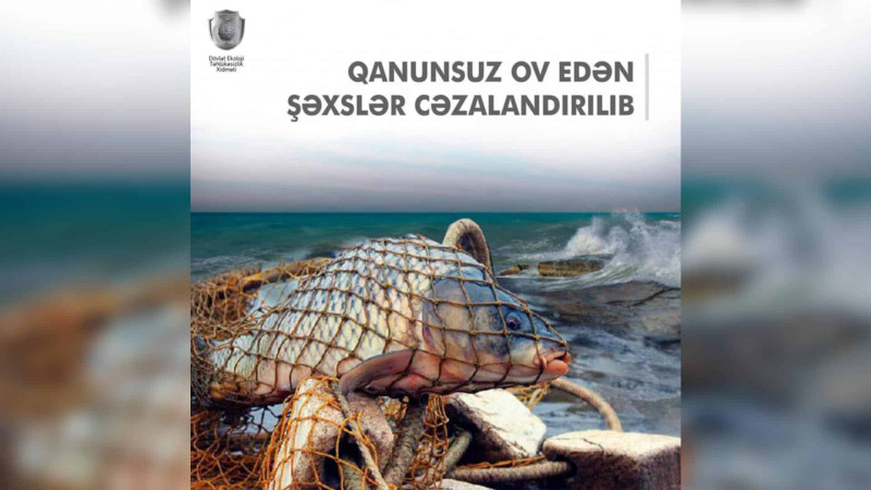 Bakı və Lənkəran şəhər sakinləri olan 2 brakonyer yaxalanıb