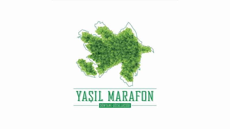 Abşeron yarımadasında 2000-dən çox ağac əkilib