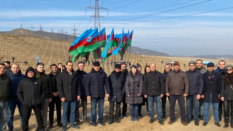 Mədəniyyət naziri ağacəkmə aksiyasında iştirak edib