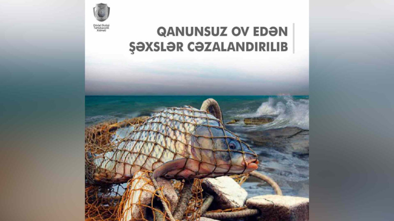 Xəzər dəniz sahilərində 4 brakonyer saxlanılıb