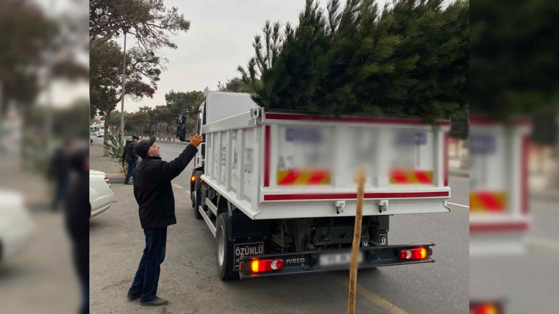 Xəzər rayonu ərazisində yeni ağaclar və güllər əkilir