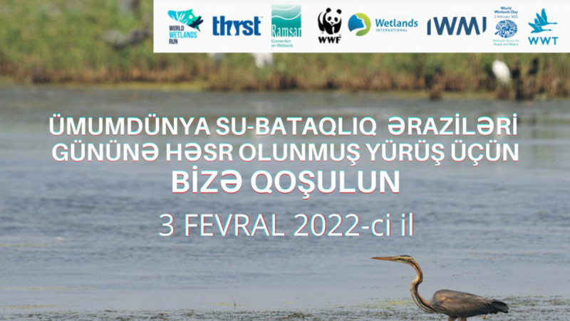 Dənizkənarı Milli Parkda beynəlxalq qaçış/yürüş kampaniyası təşkil ediləcək
