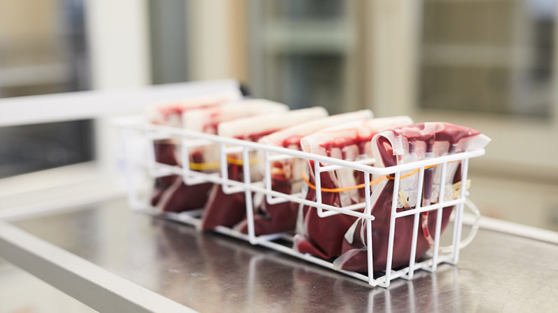 Hind Klinikasında qanvermə aksiyası keçiriləcək