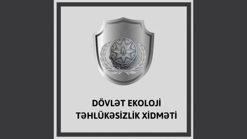 Yasamal rayonunda qanunsuz olaraq 5 ağac kəsilib