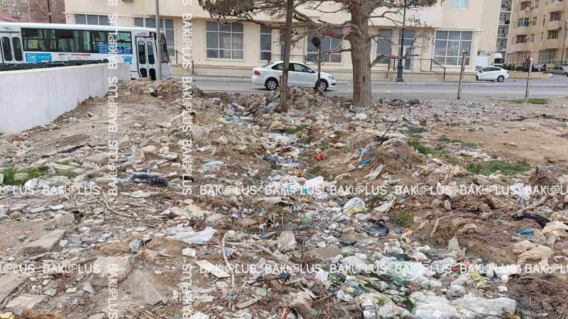 Qaradağ rayonunda yeni tikili binaların arasında antisanitariya hökm sürür