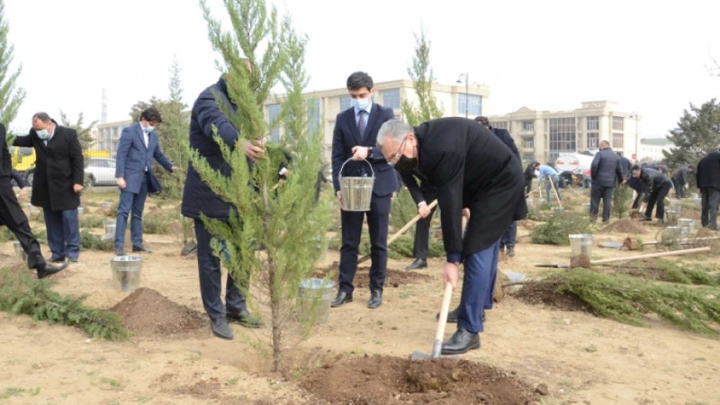 Bakının üç rayonunda Xocalı şəhidlərinin əziz xatirəsi əbədiləşdirilib