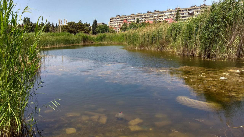 Bakıda daha bir park baxımsız vəziyyətdə qalıb