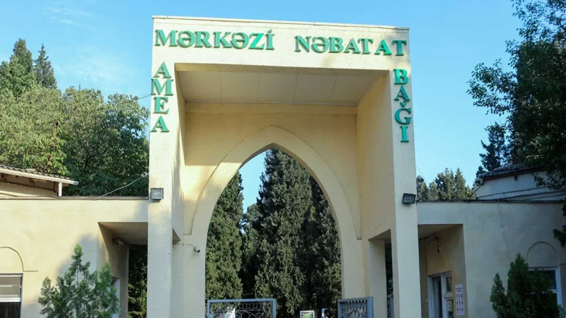 Nəbatat Bağı ərazisində restoran və avtotəmir sexləri fəaliyyət göstərir: baş direktor məsələyə aydınlıq gətirib
