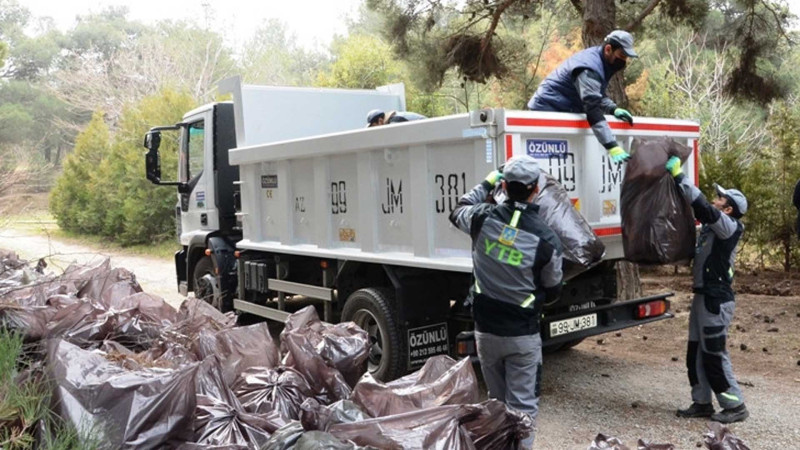 Nəbatat bağında 400 nəfər iməcilikdə iştirak edib