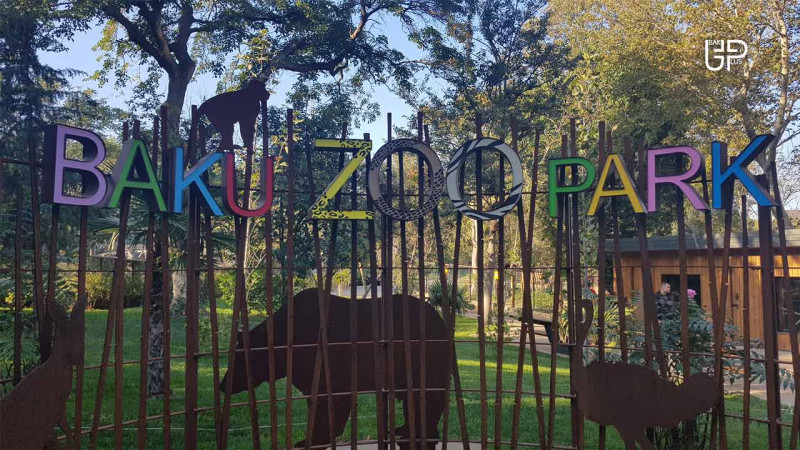 Bakı Zooparkı bayram günlərində işləyəcək: iş qrafikini təqdim edirik